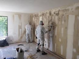 Why You Should Choose Our Mold Remediation Services in Walden, NY